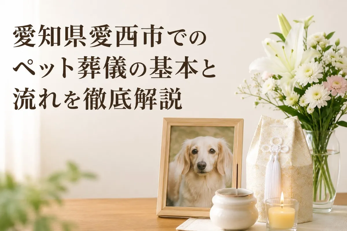 愛知県愛西市でのペット葬儀の基本と流れを徹底解説